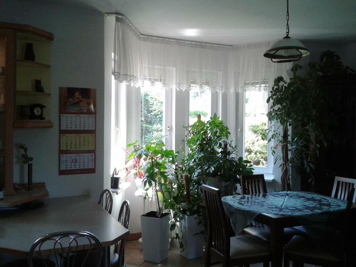 Dom Na Skarpie Villa Wierzbica  Dış mekan fotoğraf